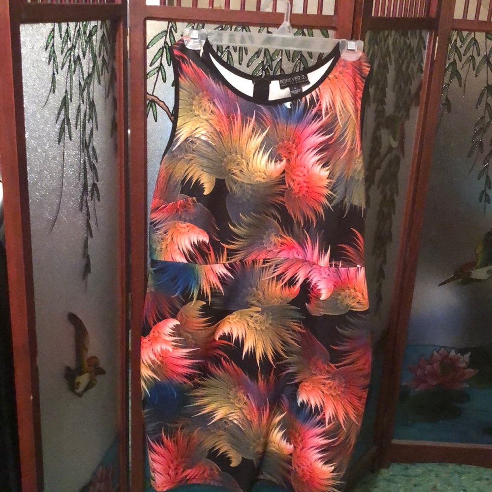Used 1x: Forever 21 size 1x dress